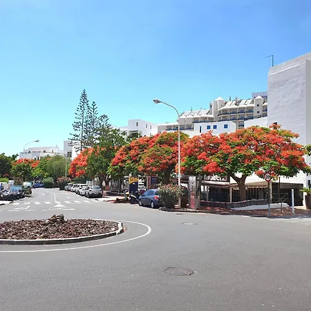 Apartament Orlando Sea Costa Adeje (Tenerife)